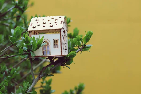 Small toy house on the branches of a bush with green leaves on a yellow background