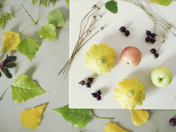 Nyári Szezonális Összetétele Gyümölcsök Zöldségek Virágok Egy Fehér Lemez Zöld — Stock Fotó
