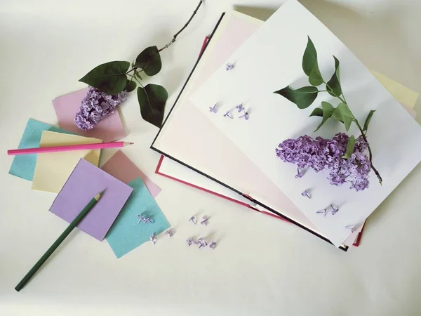 Open books, paper, pencils, branches of lilac flowers on the table, read novels and write down your thoughts