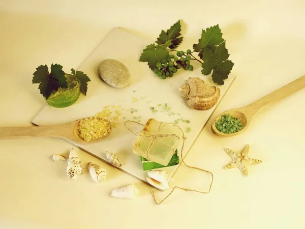 天然肥皂 葡萄枝 贝壳和石头在桌子上 水疗程序 身体护理 — 图库照片
