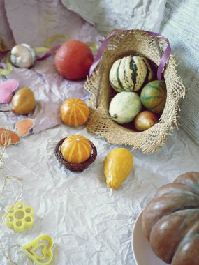 Parlak renklerde Kabaklar, hafif bir arka plan üzerinde dekor, üst görünümü, sonbahar sezonu, Cadılar Bayramı