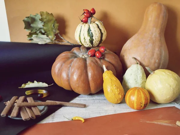 Pumpkins of various colors of warm colors on the table, preparation for Halloween