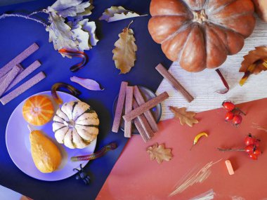 Balkabakları, yaprakları, çikolata kurabiyeleri, parlak bir arka planda jöle solucanlar, mavi ışık ile aydınlatılmış, masada, Cadılar Bayramı, Ekim dekoratif kompozisyon