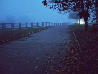 Mesafe içine çöl yolu, sis, gece, akşam, mavi renk, soğuk sonbahar kavramı, yol