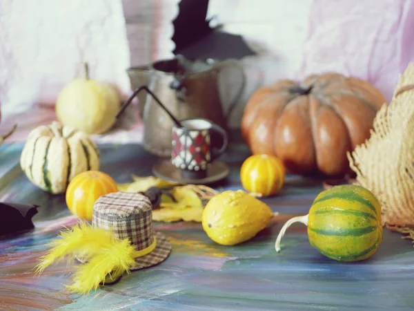 Composición Decorativa Una Variedad Calabazas Hojas Decoración Mística Sobre Fondo — Foto de Stock