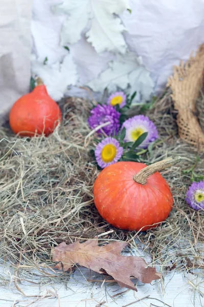 Kürbisse Blumen Blätter Strohhut Auf Verstreutem Heu Halloween Erntedank Herbstferien — Stockfoto