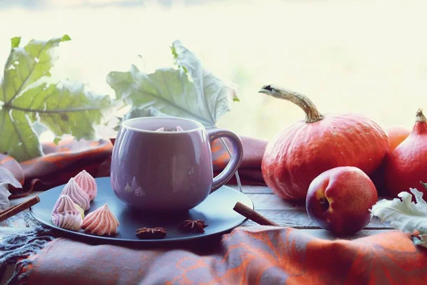 Tasse Café Meringues Citrouilles Feuilles Plaid Sur Fond Fenêtre Concept — Photo