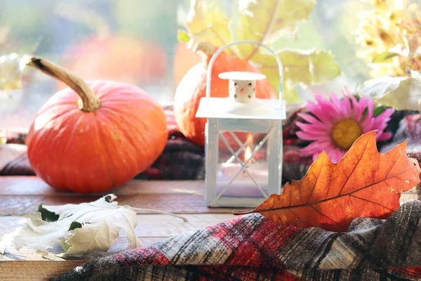 Kürbisse Herbstblätter Dekorative Laterne Mit Kerze Eine Blume Auf Einer — Stockfoto