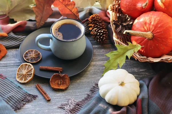 Cup of coffee, pumpkins, leaves, spices, a scarf on a wooden surface on a window background, home comfort concept, Thanksgiving, autumn season