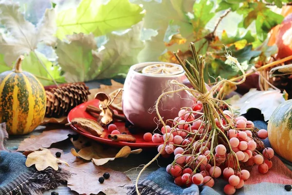 Eine Tasse Heißgetränk Beeren Kürbisse Gewürze Ein Schal Herbstblätter Auf — Stockfoto