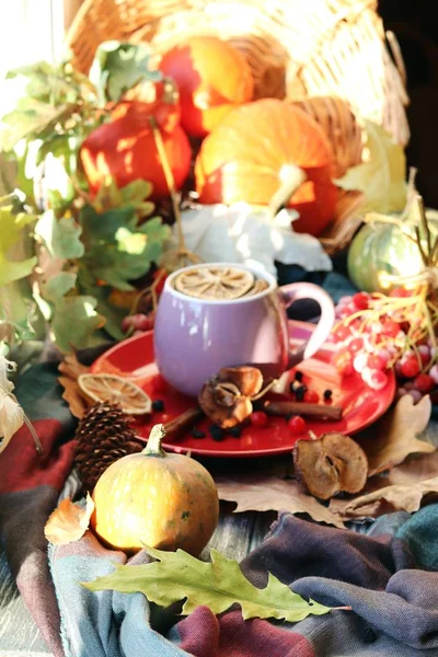 Eine Tasse Heißgetränk Beeren Kürbisse Gewürze Ein Schal Herbstblätter Auf — Stockfoto