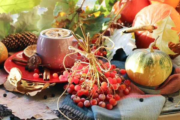 A cup of hot drink, berries, pumpkins, spices, a scarf, autumn leaves on the background of the window, the concept of home comfort, healthy food, tea for the common cold