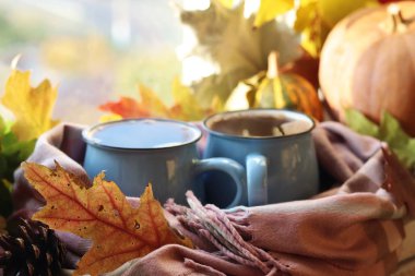 Kahve iki fincan, kabak, yaprak, bir pencere arka plan üzerinde bir ekose, ev konfor konsepti, Şükran, sonbahar sezonu