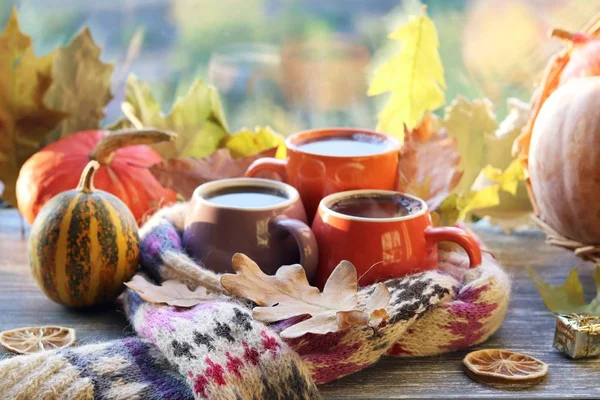 Three cups of coffee, pumpkins, leaves, a woolen scarf on a window background, the concept of home comfort, family, Thanksgiving, autumn season