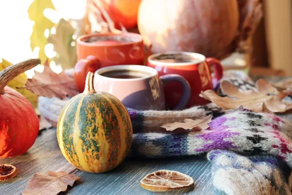 Üç fincan kahve, balkabağı, yapraklar, arka planda yün bir eşarp, ev konforu, aile, Şükran Günü, sonbahar sezonu