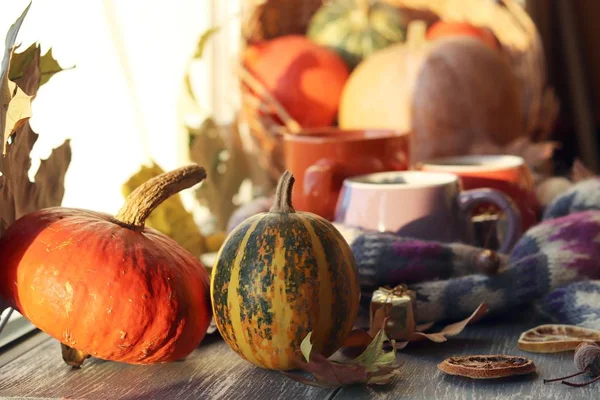 Üç fincan kahve, balkabağı, yapraklar, arka planda yün bir eşarp, ev konforu, aile, Şükran Günü, sonbahar sezonu