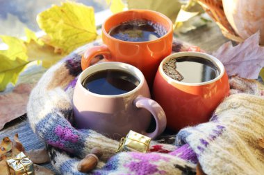 Üç fincan kahve, balkabağı, yapraklar, arka planda yün bir eşarp, ev konforu, aile, Şükran Günü, sonbahar sezonu