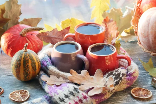 Three cups of coffee, pumpkins, leaves, a woolen scarf on a window background, the concept of home comfort, family, Thanksgiving, autumn season