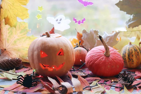 Halloween composition of jack o\' lantern, pumpkins, illumination, mystical decor on the background of a window and autumn leaves, seasonal holidays