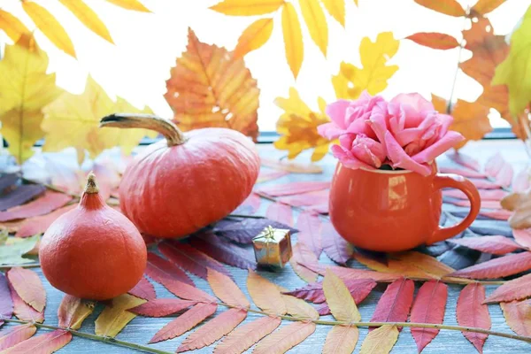 Composición Otoñal Las Calabazas Las Rosas Frescas Taza Las Hojas —  Fotos de Stock