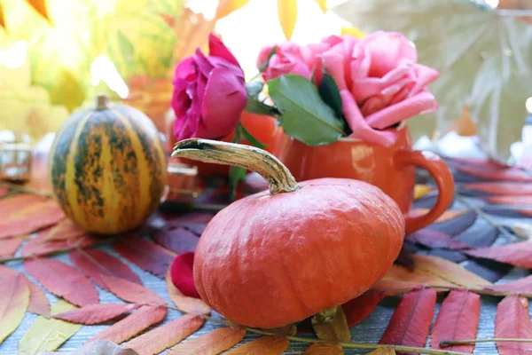 Autumn Composition Pumpkins Fresh Roses Cup Leaves Windowsill Thanksgiving Halloween — Stock Photo, Image