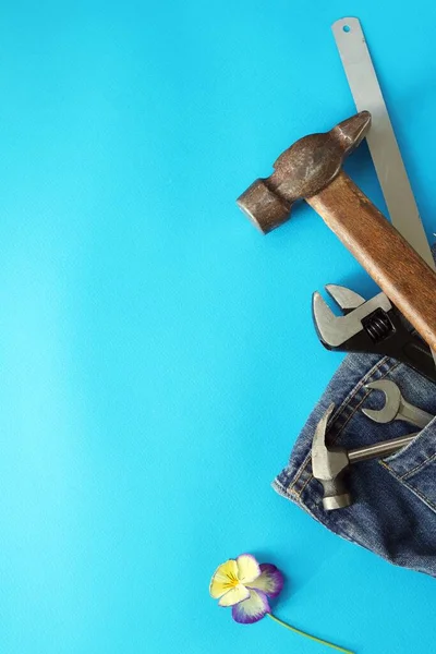 Father\'s day, tools in jeans pocket on a blue bright background, flower, holiday greetings concept, top view, copy space