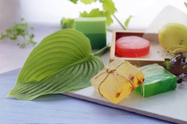 Sabun, antiseptik sıvı, sağlıklı bitkiler, hijyenik işlemler için aromatik yağ, doğal kozmetik ürünler, ev rahatlaması.