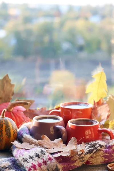 Drei Tassen Kaffee Kürbisse Blätter Ein Wollschal Auf Einem Fensterhintergrund — Stockfoto