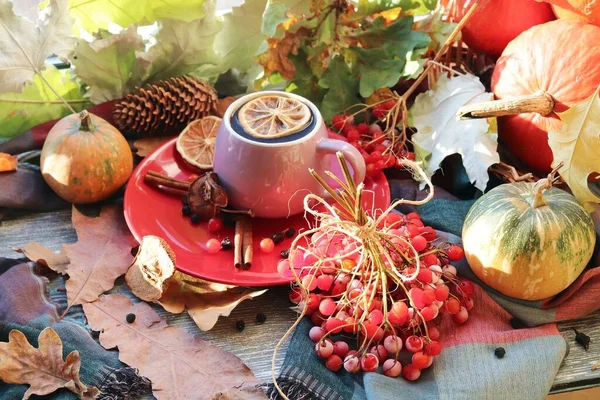 Eine Tasse Heißgetränk Beeren Kürbisse Gewürze Ein Schal Herbstblätter Auf — Stockfoto