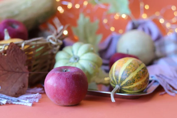 Thanksgiving Pumpkins Apples Leaves Warm Plaid Orange Background Illumination Harvest — Stock Photo, Image