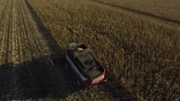 Průmyslové podzimní sklizeň s moderním kombinovat — Stock video