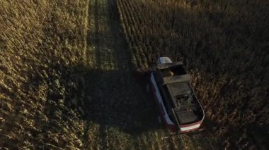 Havadan görünümü birleştirin Mısır sahada hasat