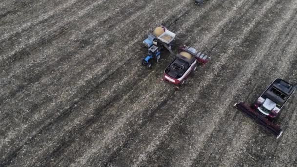 Sonbahar tarım arazileri üzerinde çalışma hasat toplama kombaynları — Stok video