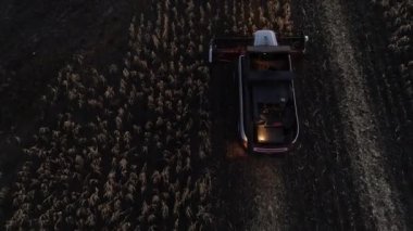 Hasat hasat Mısır mahsul gece alan birleştirmek