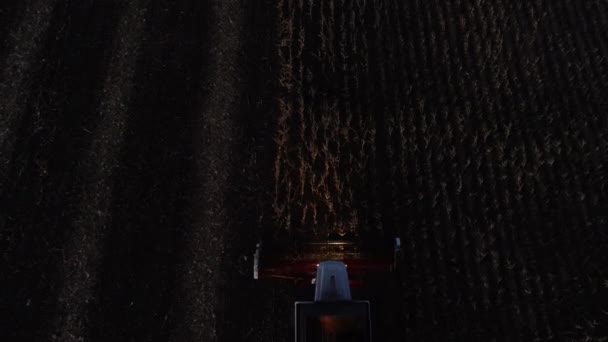 Συνδυάστε θεριζοαλωνιστική μηχανή καλαμπόκι συγκομιδή καλλιέργειας στο πεδίο νύχτα — Αρχείο Βίντεο