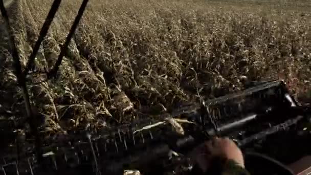 Combine Harvester trabalhando de perto vista da cabine — Vídeo de Stock