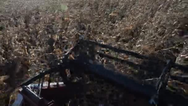 Combine harvester threshing the reap wheats pov — Stock Video