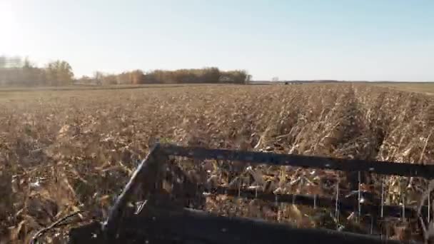 Красивая сцена сбора урожая из кабины водителя — стоковое видео