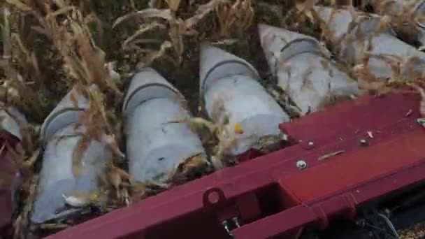 Современный комбайн крупным планом собирает зерно — стоковое видео