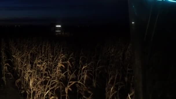 晚上把玉米地联合起来 — 图库视频影像