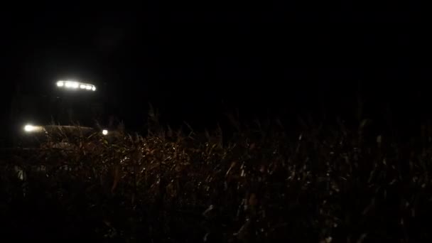 Combine harvester verzamelt de maïs op de nacht — Stockvideo