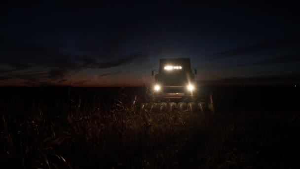 Combinar cosechadora recoge el maíz en la noche — Vídeo de stock