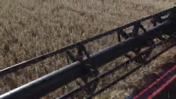 Thresher messen snijden rijpe gouden rogge stengels op boerderij veld close-up — Stockvideo