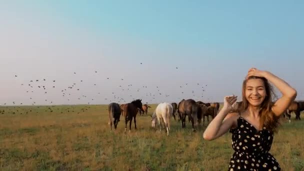 Niña posando en el campo naturaleza con el rebaño de caballos en el campo — Vídeos de Stock