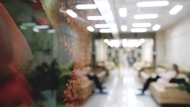 Vídeo borroso del pasillo en la clínica con pacientes que esperan y médicos ambulantes . — Vídeos de Stock