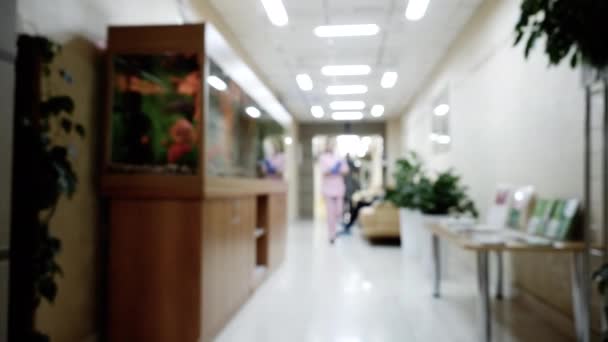 Rozostřit pozadí na kliniku s chodící ženskou doktorkou v růžové uniformě. — Stock video