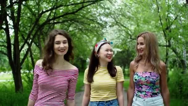 Три красиві багатонаціональні дівчата друзі гуляють парк посміхаючись сміючись разом . — стокове відео