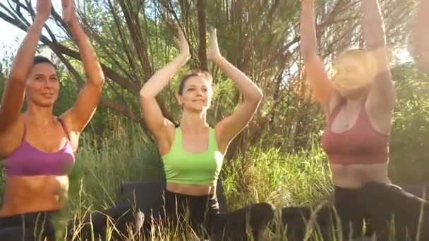 Grup halinde mutlu kadınlar yoga yapıyor. Lotus pozisyonunda oturuyorlar, vücut egzersizleri yapıyorlar. — Stok video