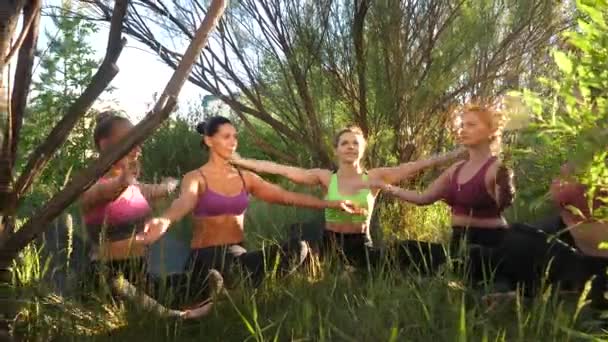 Grup halinde mutlu kadınlar birlikte yoga yaparlar. Lotus pozisyonunda otururlar. Vücut rahatlığının tadını çıkarırlar. — Stok video