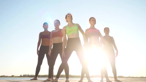 Grupo diverso mulheres felizes fazendo exercício de alongamento juntos, treinamento de fitness — Vídeo de Stock